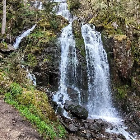 Le Tresor Des Vosges Spacieux Et Lumineux 80m2 - Jeux Arcades - Ideal Famille 4 A 6 Personnes *