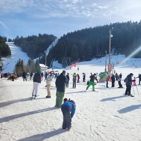 דירה Le Tresor Des Vosges Spacieux Et Lumineux 80m2 - Jeux Arcades - Ideal Famille 4 A 6 Personnes *