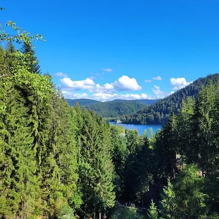 Le Trésor Des Vosges 80m2 Idéal Famille 4 à 6 Personnes * Gérardmer