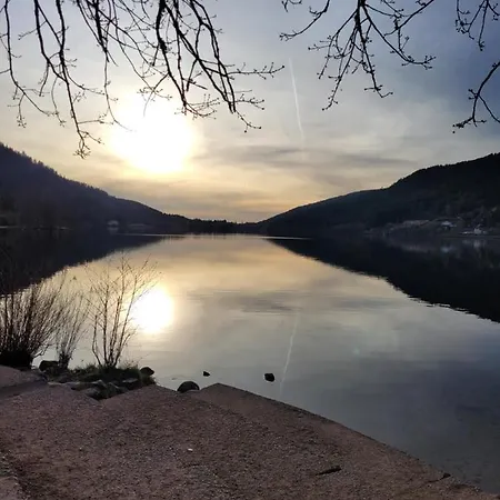 Le Tresor Des Vosges Spacieux Et Lumineux 80m2 - Jeux Arcades - Ideal Famille 4 A 6 Personnes דירה ג'רארדמר