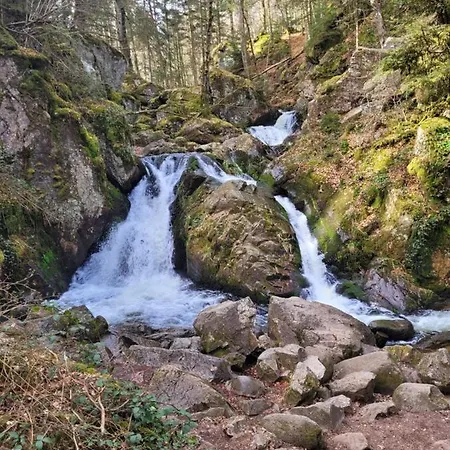 Le Trésor Des Vosges 80m2 Idéal Famille 4 à 6 Personnes Appartement Gérardmer
