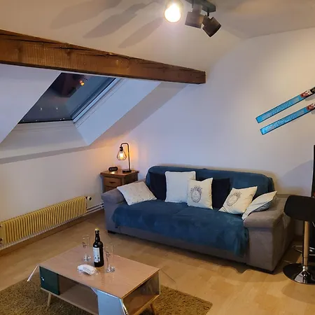 Le Tresor Des Vosges Spacieux Et Lumineux 80m2 - Jeux Arcades - Ideal Famille 4 A 6 Personnes דירה ג'רארדמר