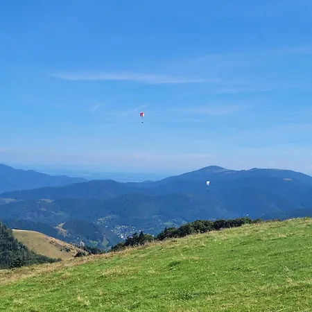 Le Tresor Des Vosges Spacieux Et Lumineux 80m2 - Jeux Arcades - Ideal Famille 4 A 6 Personnes Apartment Gerardmer