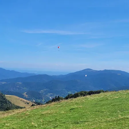 Le Trésor Des Vosges 80m2 Idéal Famille 4 à 6 Personnes Appartement Gérardmer