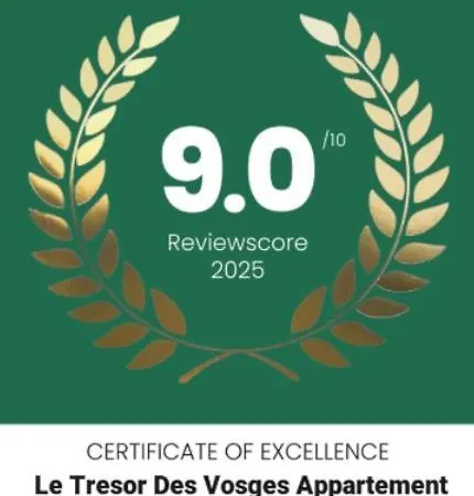 Le Tresor Des Vosges Spacieux Et Lumineux 80m2 - Jeux Arcades - Ideal Famille 4 A 6 Personnes דירה ג'רארדמר