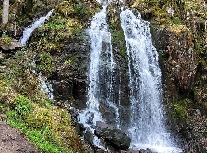 Le Trésor Des Vosges 80m2 Idéal Famille 4 à 6 Personnes *