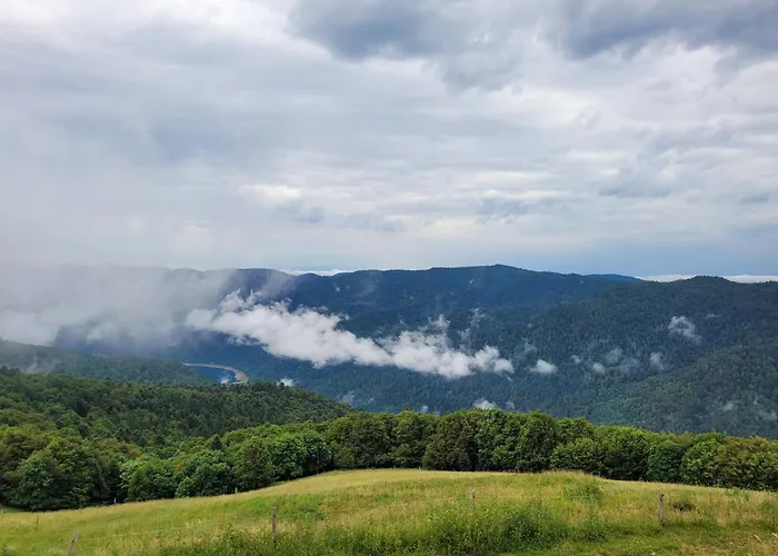 Le Trésor Des Vosges 80m2 Idéal Famille 4 à 6 Personnes *