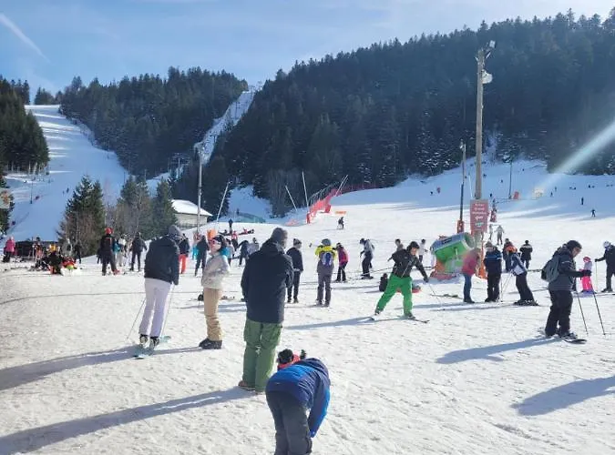 Appartement Le Trésor Des Vosges 80m2 Idéal Famille 4 à 6 Personnes *