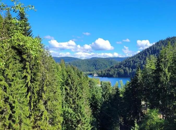 Le Trésor Des Vosges 80m2 Idéal Famille 4 à 6 Personnes * Gérardmer