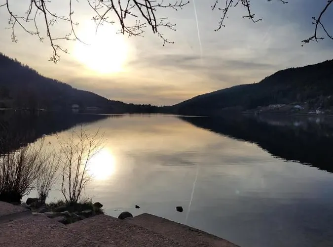 Le Trésor Des Vosges 80m2 Idéal Famille 4 à 6 Personnes Appartement Gérardmer