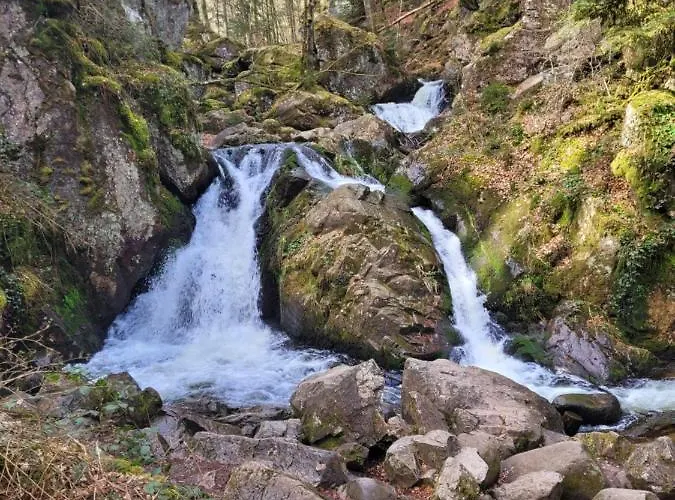 Le Trésor Des Vosges 80m2 Idéal Famille 4 à 6 Personnes Appartement Gérardmer