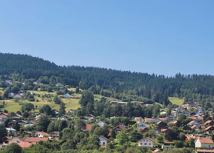 Le Trésor Des Vosges 80m2 Idéal Famille 4 à 6 Personnes *