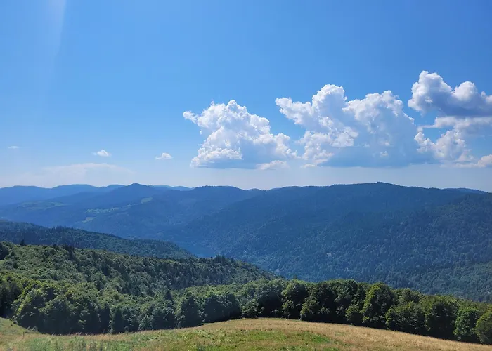 Le Trésor Des Vosges 80m2 Idéal Famille 4 à 6 Personnes