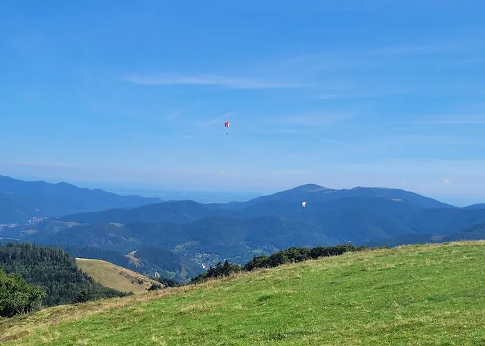 Le Trésor Des Vosges 80m2 Idéal Famille 4 à 6 Personnes Appartement Gérardmer